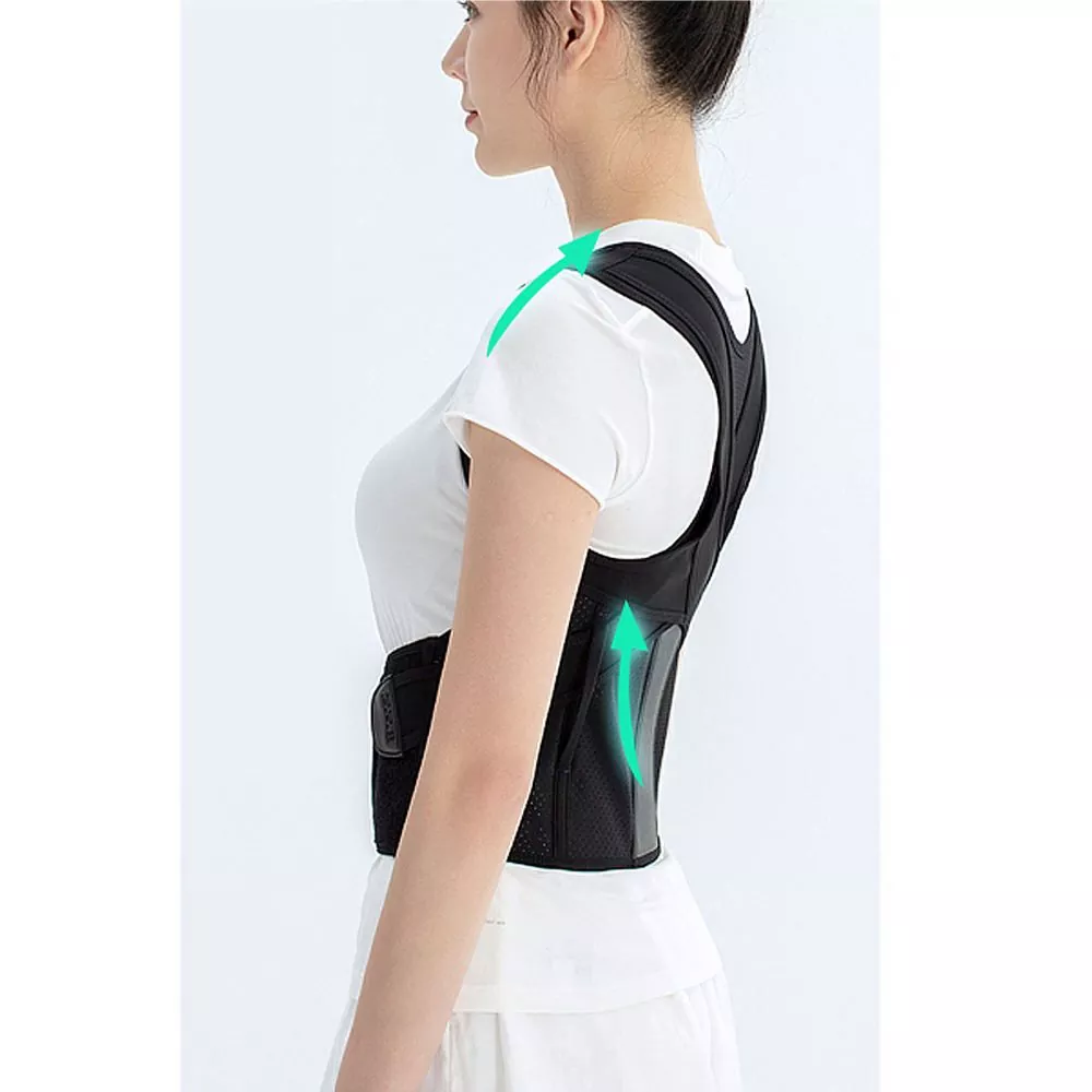 Scoliosis hátpánt merevítő testtartásjavító
